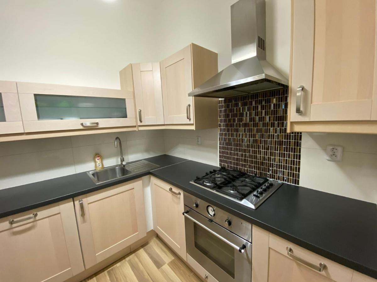 Spacious Apartment On Wenceslas Square Prag Dış mekan fotoğraf